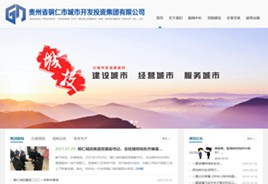 惠来城市开发投资集团有限公司